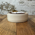 Versace Medusa White Leather Belt Sz (105/42)