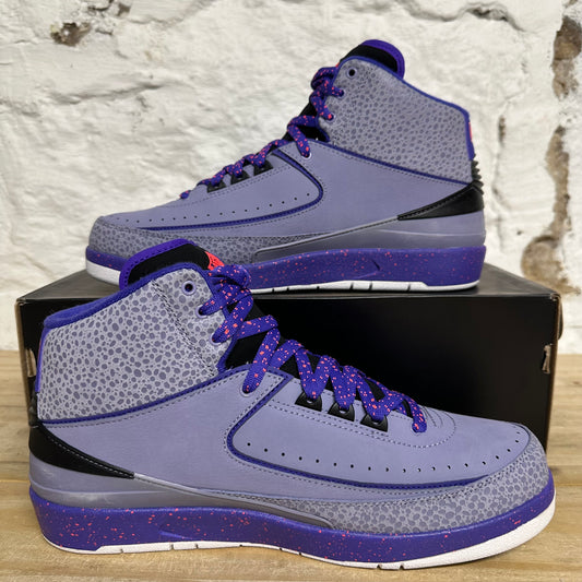 Air Jordan 2 Iron Purple Sz 10 DS