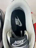 Nike Dunk Low Golden Gals Metallic Silver Sz 8.5(10W)