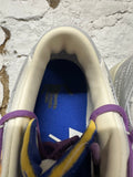 Nike Dunk Low Off White Lot 48 Sz 9.5 DS