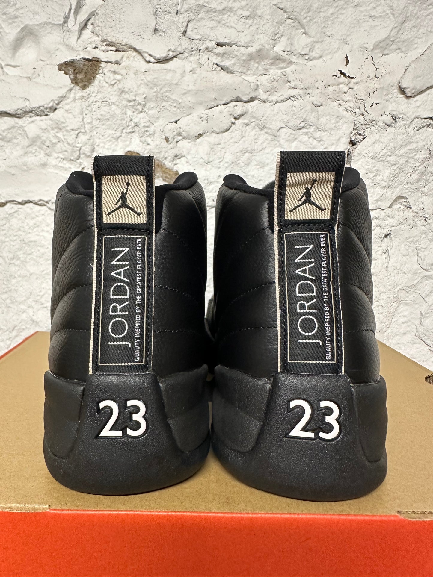 Air Jordan 12 The Master Sz 12 DS