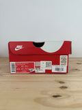 Nike Dunk Low Argon Sz 9