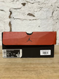 Air Jordan 12 Reverse Flu Game Sz 10