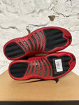 Air Jordan 12 Flu Game Sz 9 DS
