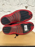 Air Jordan 12 Flu Game Sz 12