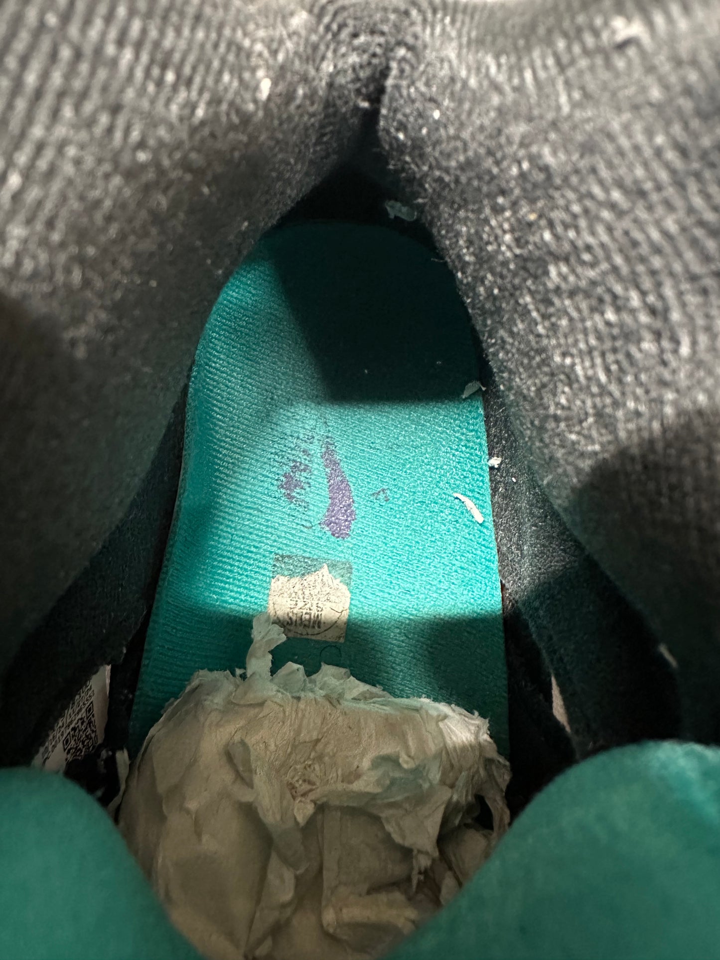 Air Jordan 5 Grape Sz 10.5