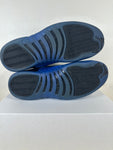 Air Jordan 12 Game Royal Sz 13