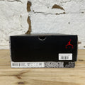 Air Jordan 6 PSG Iron Grey Sz 10 DS