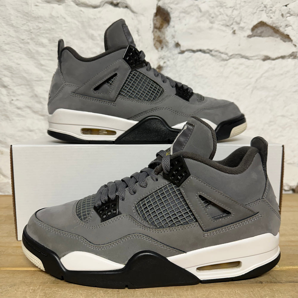 Air Jordan 4 Cool Grey (2019) Sz 9