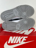 Nike Dunk Low Golden Gals Metallic Silver Sz 8.5(10W)
