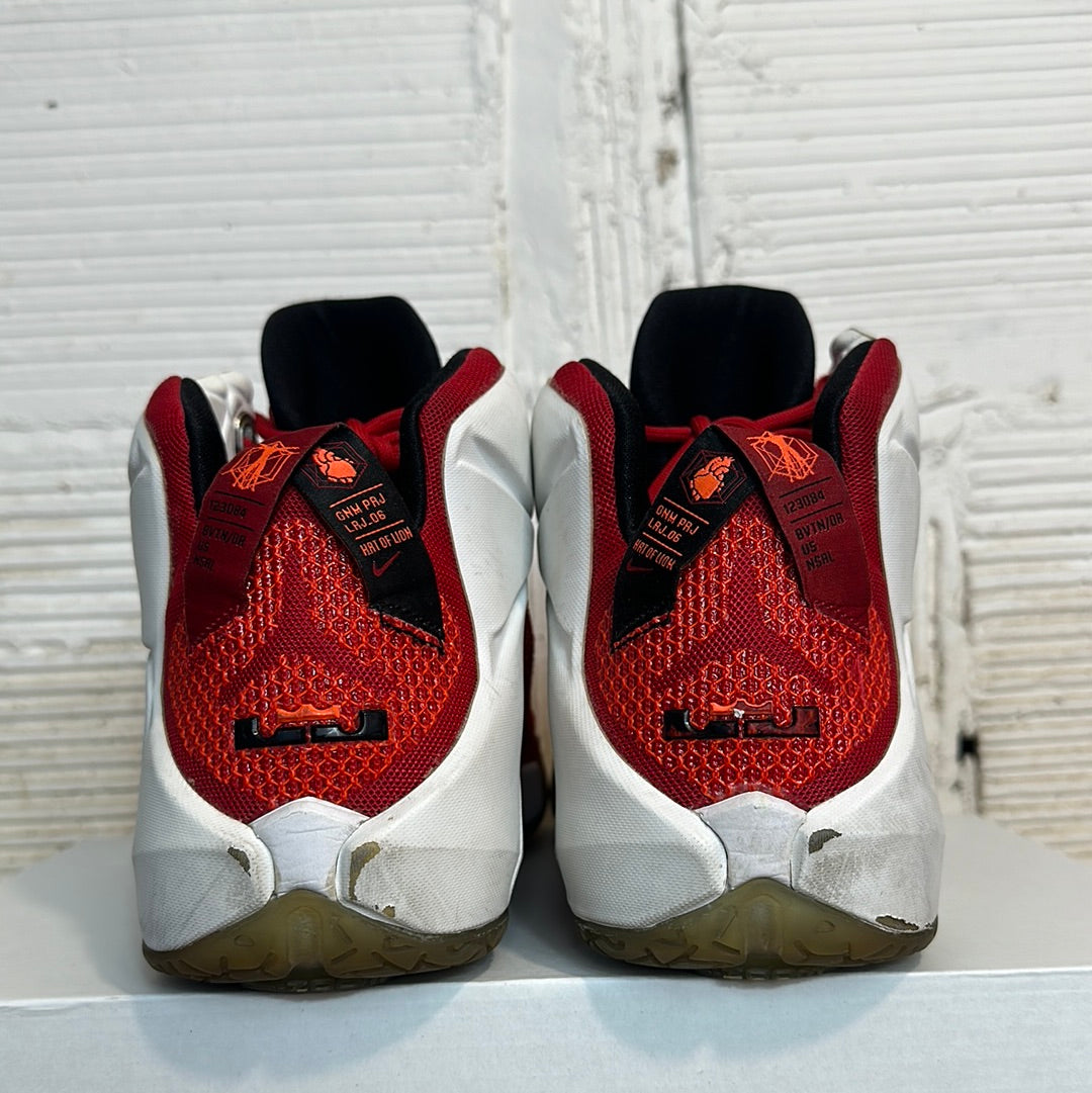 Nike LeBron 12 Heart of a Lion Sz 12