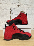 Air Jordan 12 Reverse Flu Game Sz 8