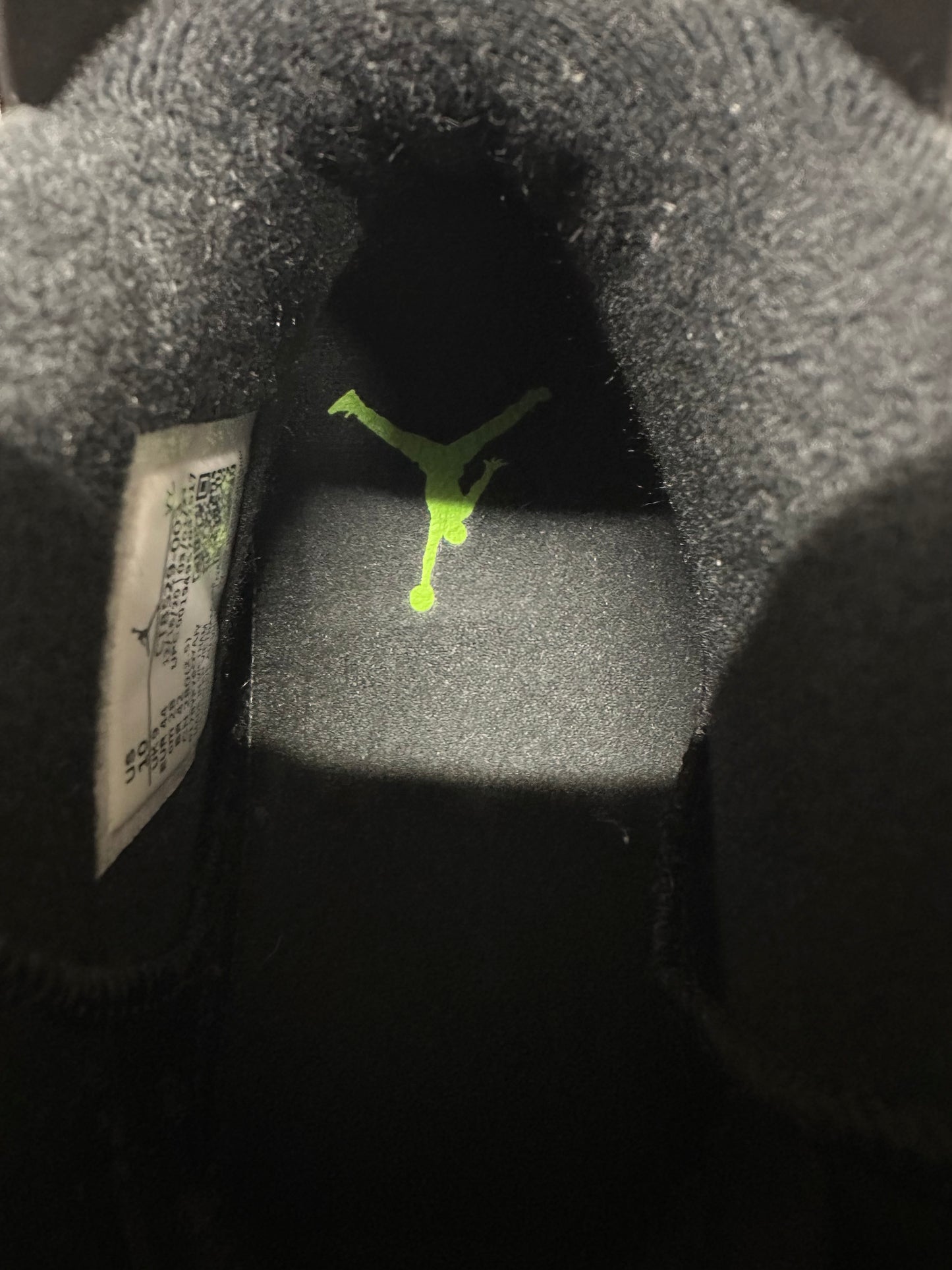 Air Jordan 6 Electric Green Sz 10 DS