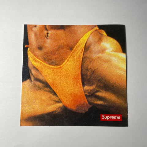 Supreme Butthole Surfers Rembrandt Pussyhorse Sticker