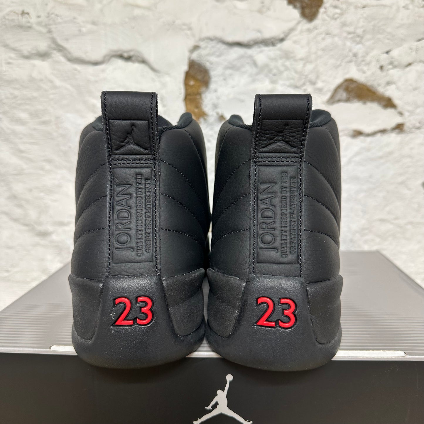 Air Jordan 12 Bloodline Sz 12 DS