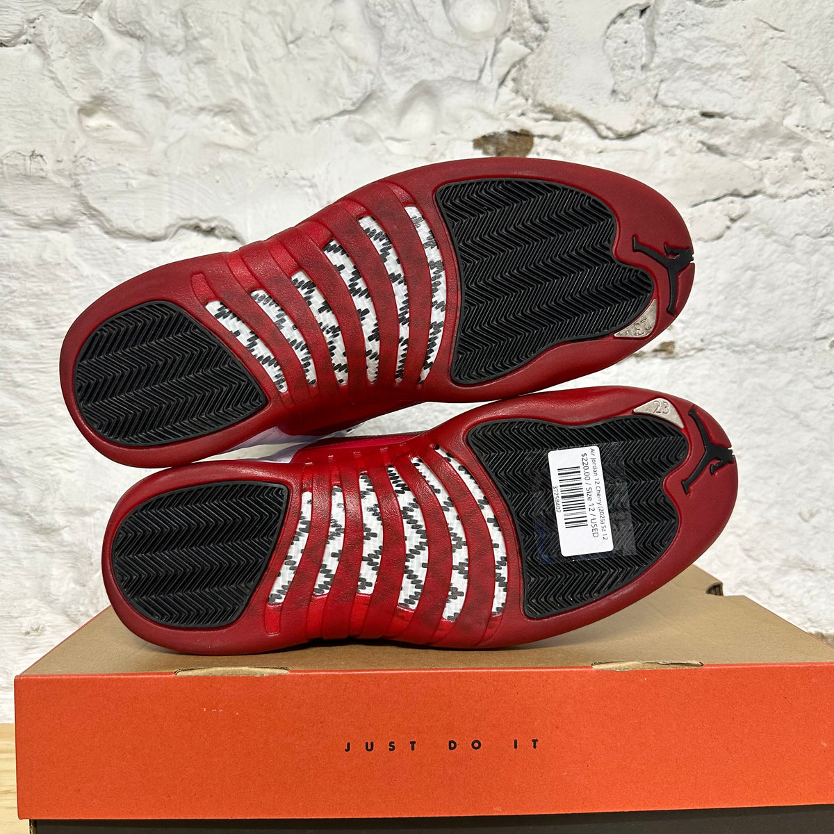 Air Jordan 12 Cherry (2025) Sz 12