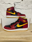 Air Jordan 1 High Human Highlight Sz 7Y