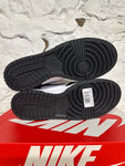 Nike Dunk High World Champs Sz 10.5 DS