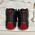 Air Jordan 12 Flu Game Sz 10.5