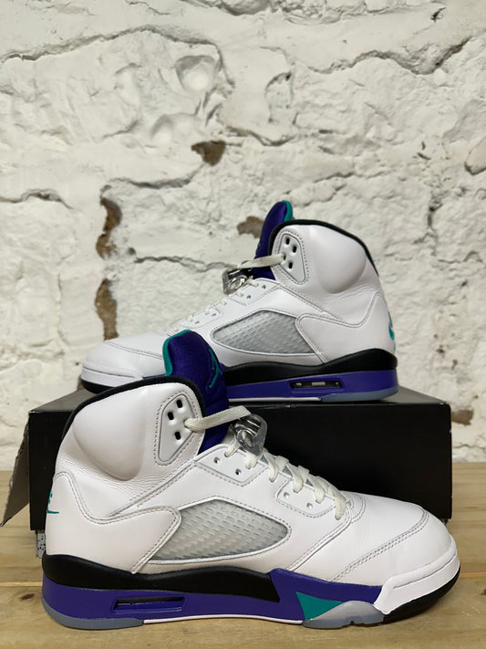 Air Jordan 5 Grape Sz 9