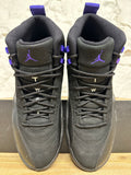 Air Jordan 12 Dark Concord Sz 9.5