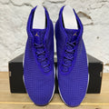 Air Jordan Future Dark Concord Sz 10.5 DS