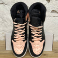 Air Jordan 1 High Crimson Tint Sz 13