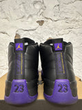 Air Jordan 12 Field Purple Sz 11.5