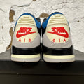 Air Jordan 3 Rare Air Sz 11.5