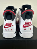 Air Jordan 6 Carmine (2021) Sz 10