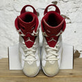 Air Jordan 6 Alternate Hare Sz 10