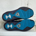 Nike LeBron 8 V2 Hornets Sz 10.5