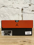 Air Jordan 12 Dark Concord Sz 9.5