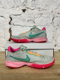 Nike Lebron 20 Time Machine Sz 10