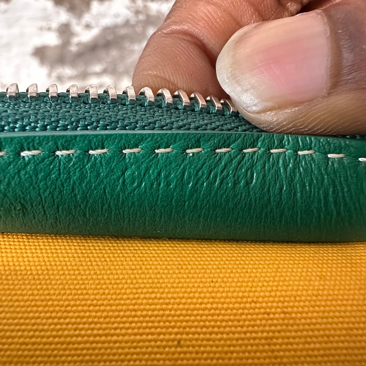 Goyard Jouvence Monogram Green Toiletry Bag