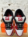 Nike SB Dunk Low Chicago Sz 10