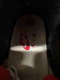 Air Jordan 3 Denim Fire Red Sz 11
