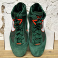 Nike LeBron 7 FAMU Sz 10