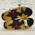 Air Jordan 6 Washed Denim Sz 10