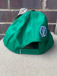 Boston Celtics Twins Enterprise SnapBack Hat