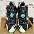 Nike LeBron 11 NOLA Gumbo League Gator King Sz 10 DS