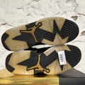 Air Jordan 6 DMP Sz 10.5