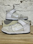 Nike SB Dunk High Anti Hero Sz 12