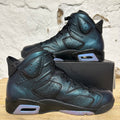 Air Jordan 6 All-Star Chameleon Sz 10.5 DS