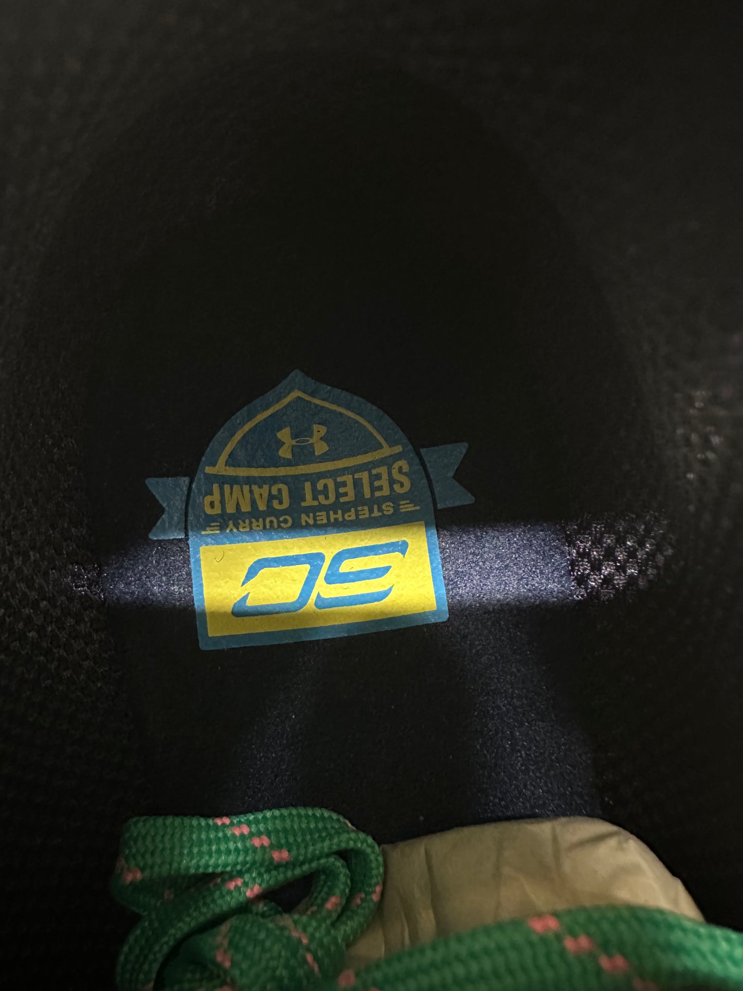 Under Armour Curry 2.5 Low SC 30 Select Camp Sz 10 DS