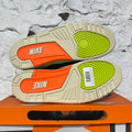 Air Jordan 3 Nina Chanel Sz 10.5 (12W) DS