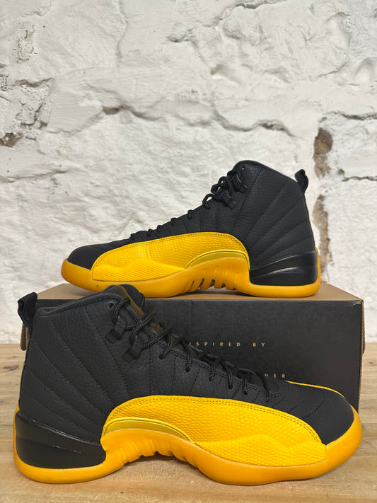 Air Jordan 12 Black University Gold Sz 10