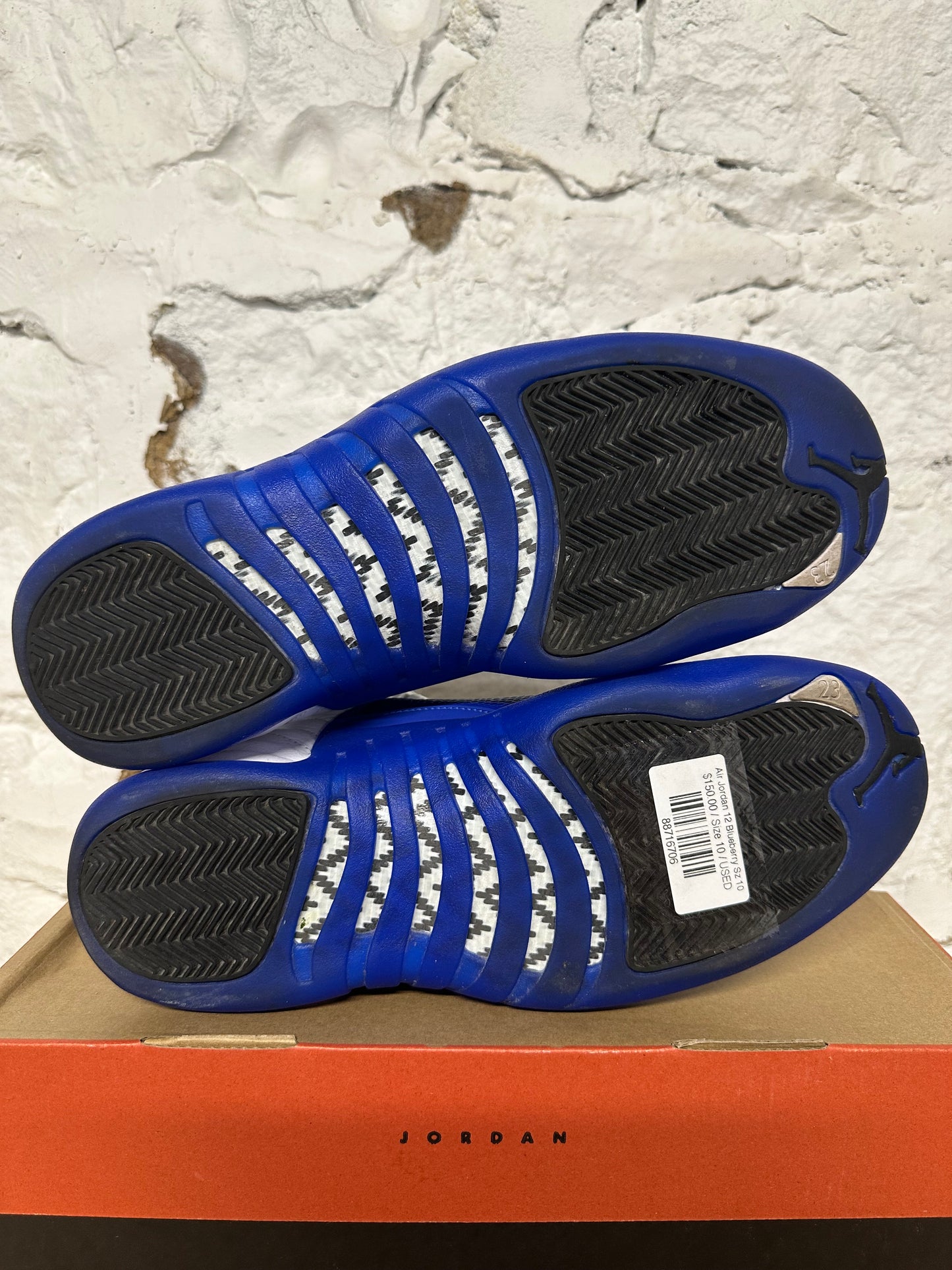 Air Jordan 12 Blueberry Sz 10