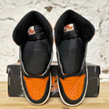 Air Jordan 1 High Shattered Backboard (2025) Sz 9 DS