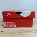 Nike Dunk Low Michigan State Statin Sz 8.5 (10W)